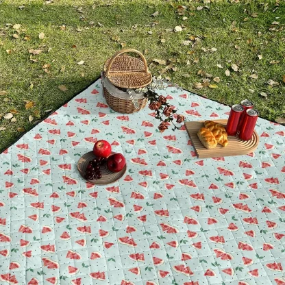 Foldable Waterproof Picnic Rugs - Image 5