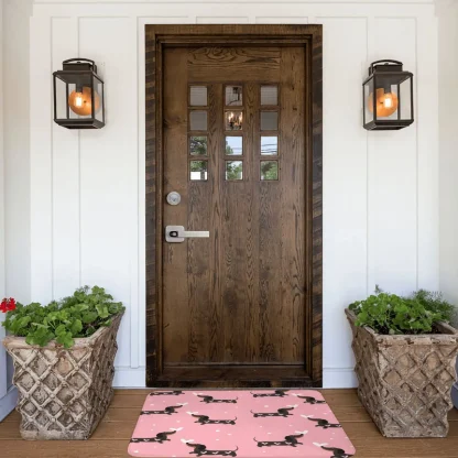 Non-slip Entrance Outdoor Rugs - Image 2
